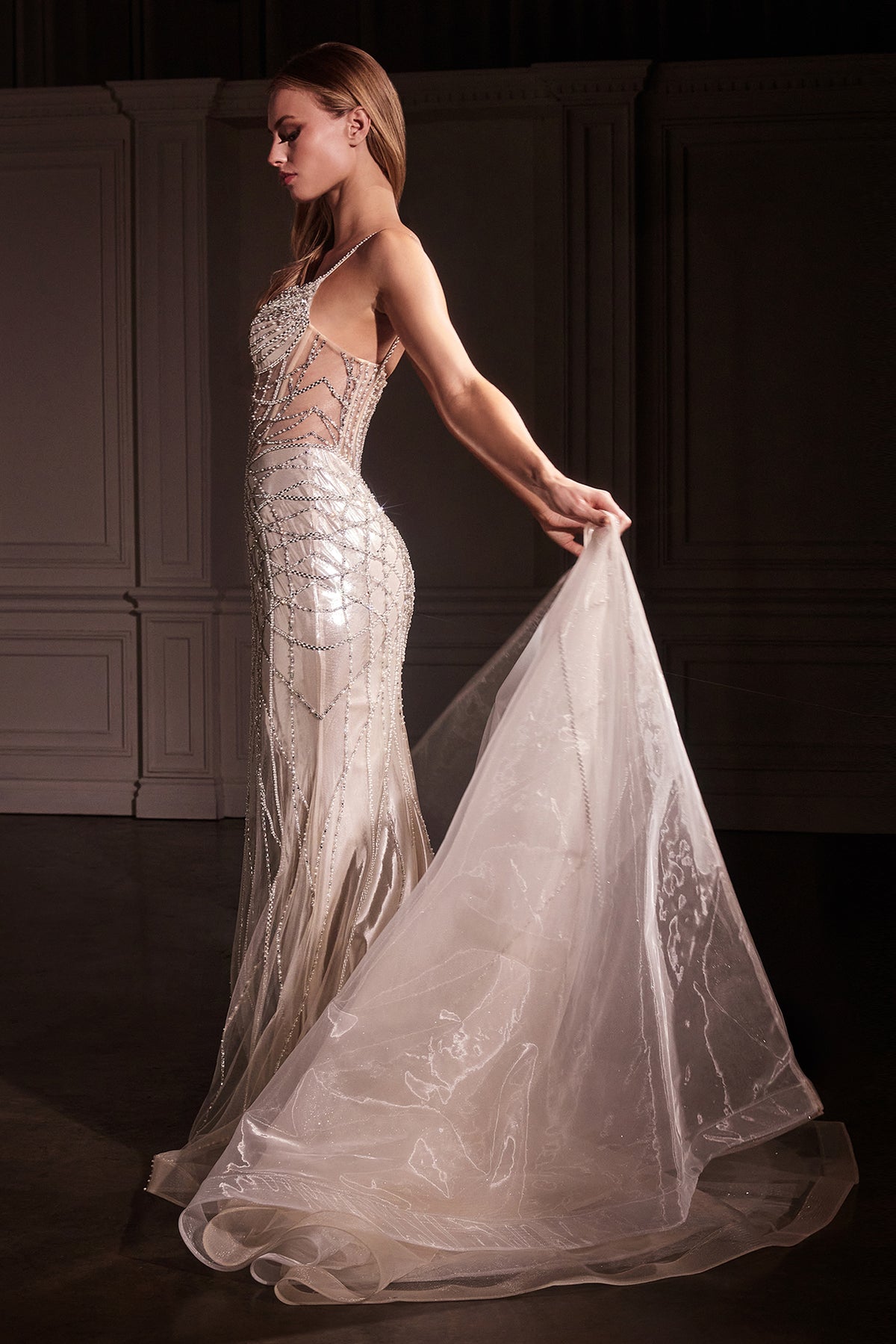 Ladivine CD763 Crystal Embroidered Overskirt Gown - NORMA REED