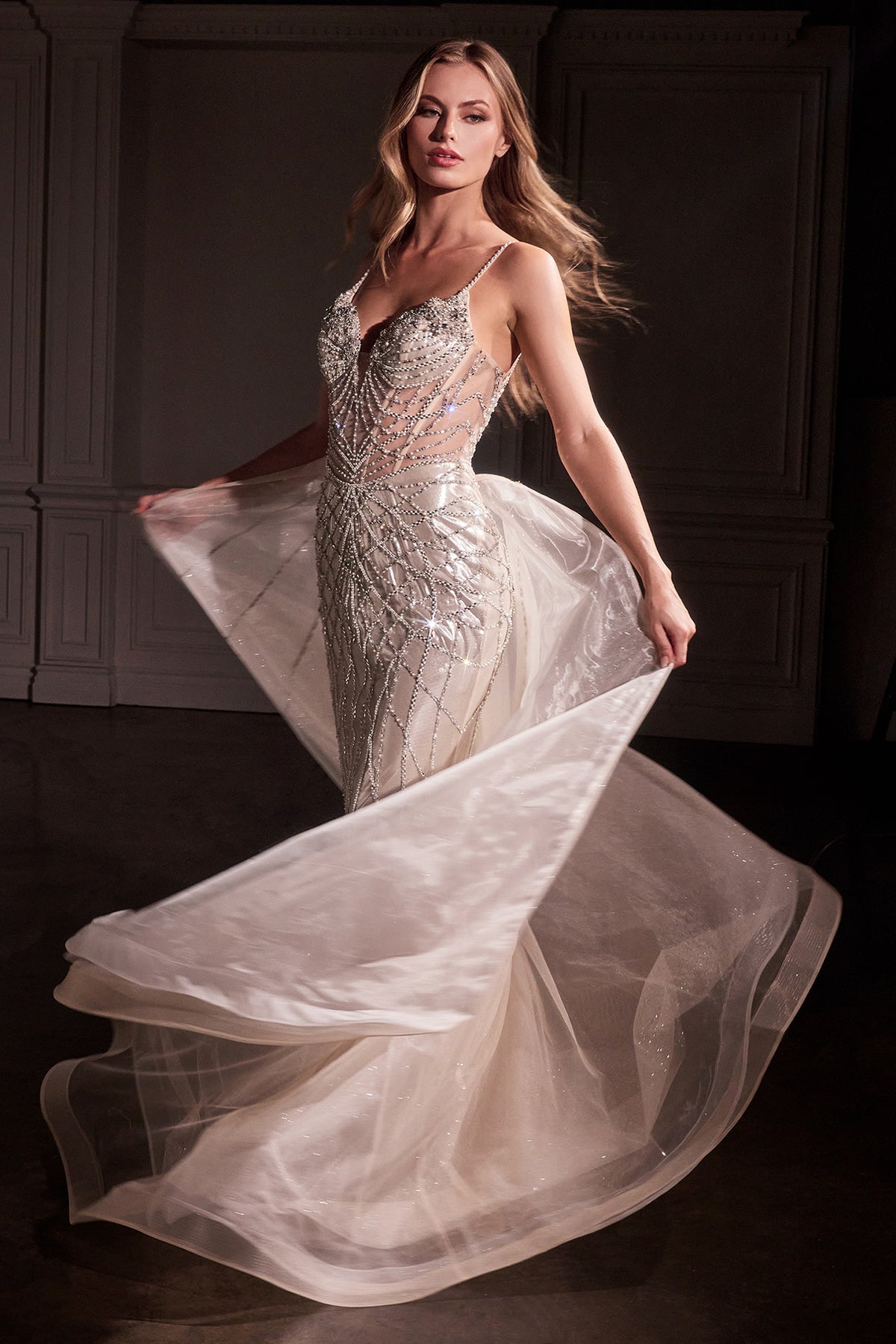 Ladivine CD763 Crystal Embroidered Overskirt Gown - NORMA REED