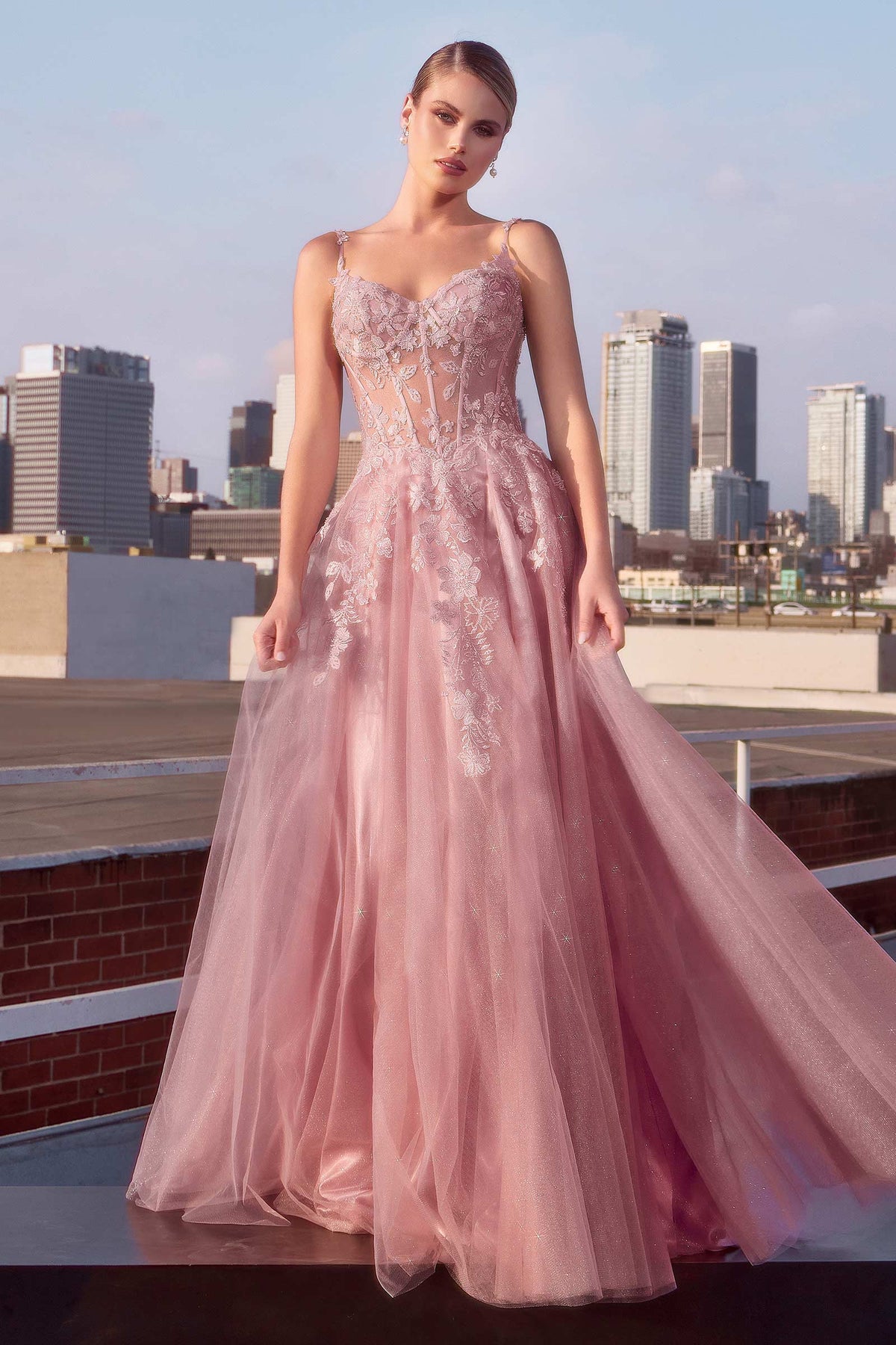 Ladivine CDS533 Mauve A Line Layered Tulle Gown - NORMA REED
