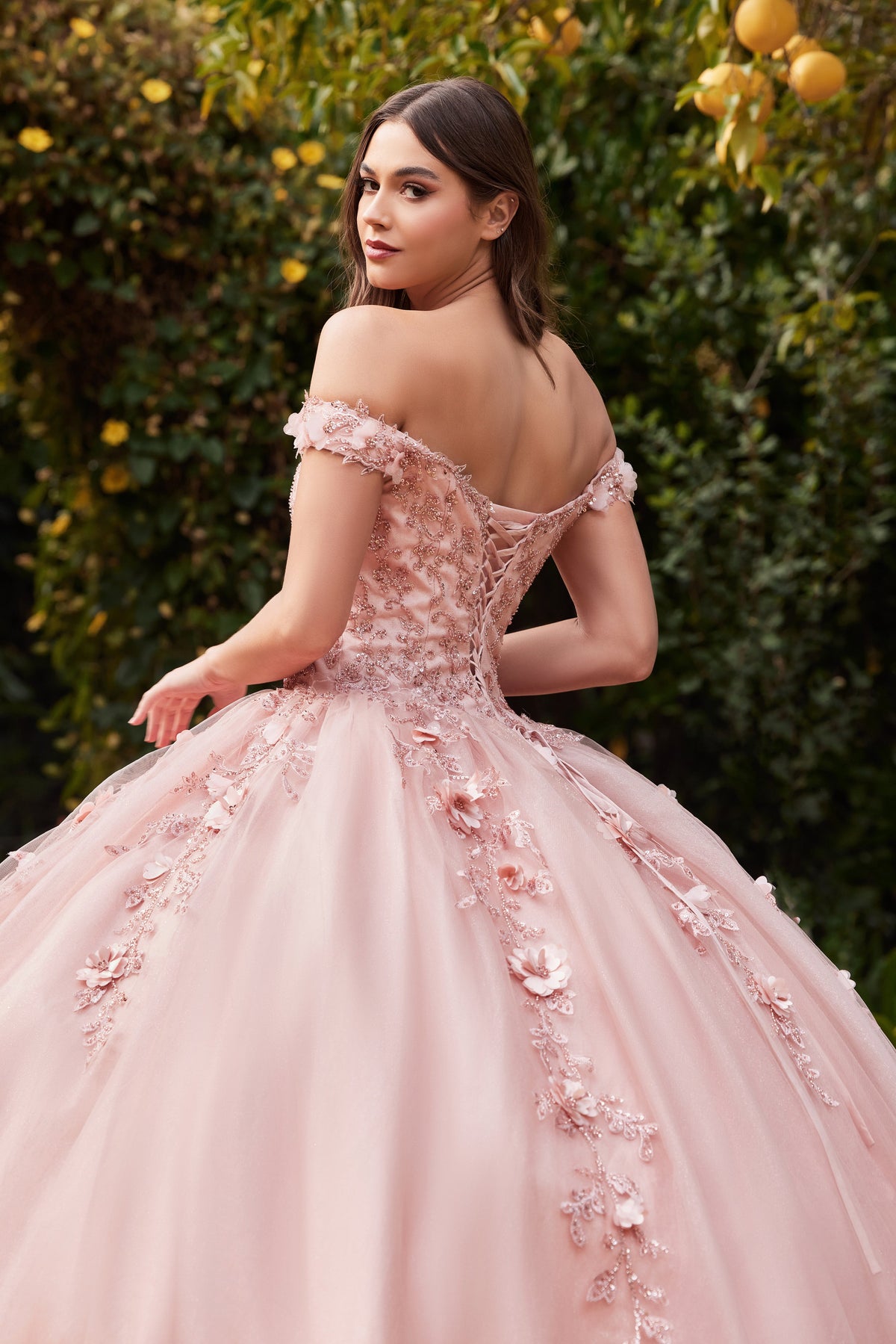 Rose Gold Quinceanera Dresses