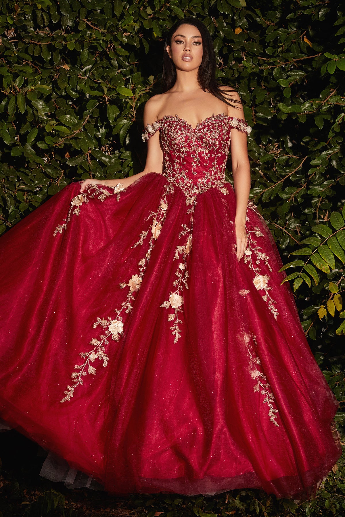Prom Ball Gowns