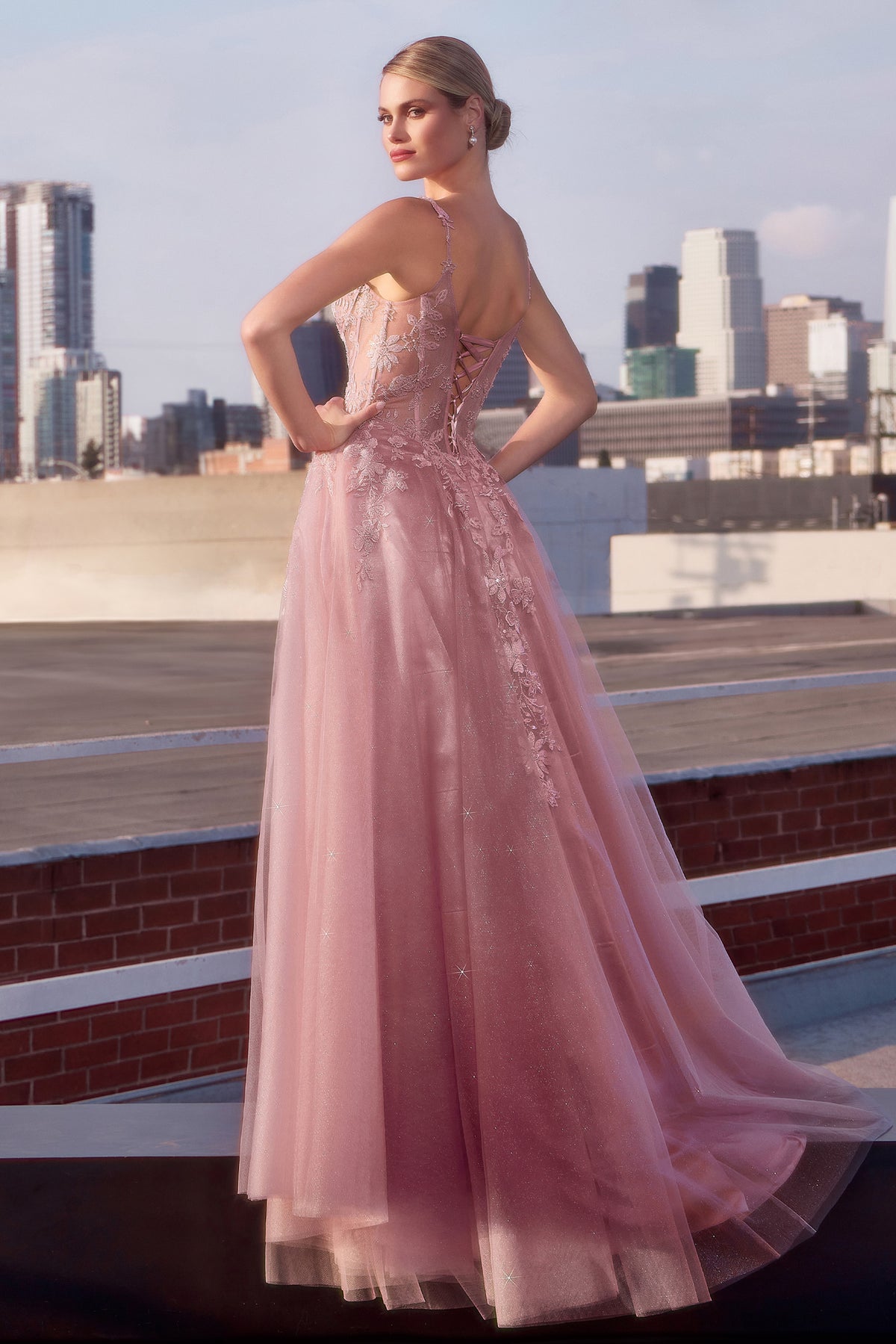 Ladivine CDS533 Mauve A Line Layered Tulle Gown