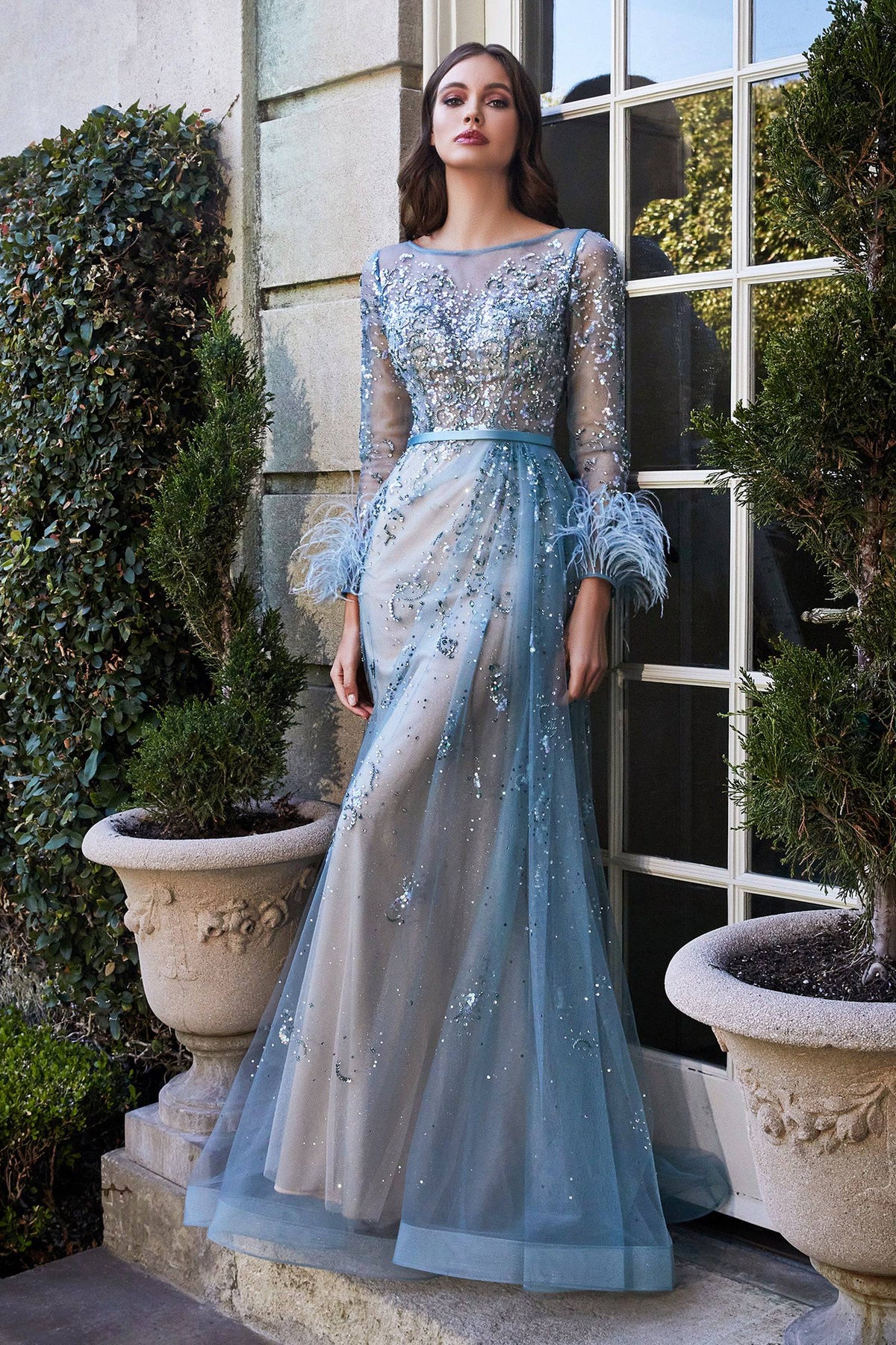 Pretty Long Dress With Sheer Overlay and Feather Accents on Sleeves #CDB716 - NORMA REED